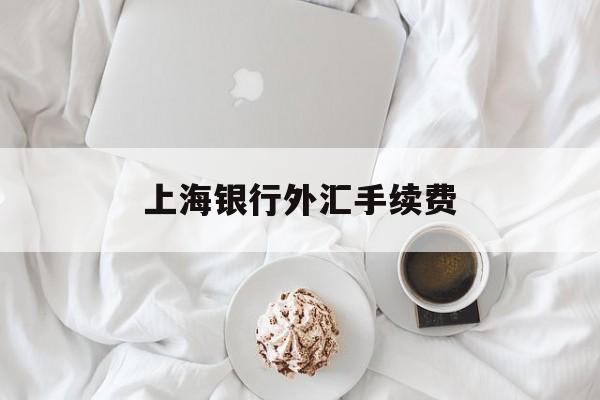 上海银行外汇手续费(上海银行境外汇款手续费)