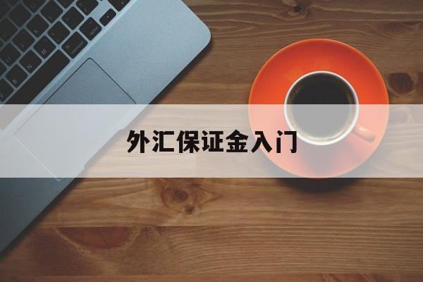 外汇保证金入门(外汇保证金交易能赚钱吗)